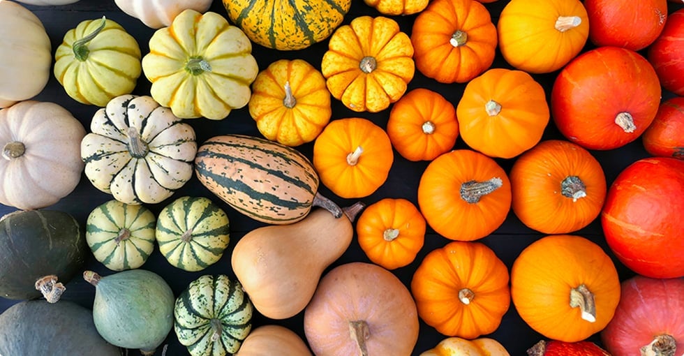La courge
